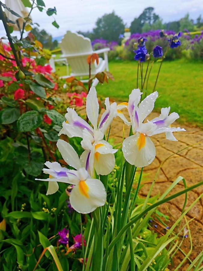 Country Villa Estate Ngongotaha Luaran gambar