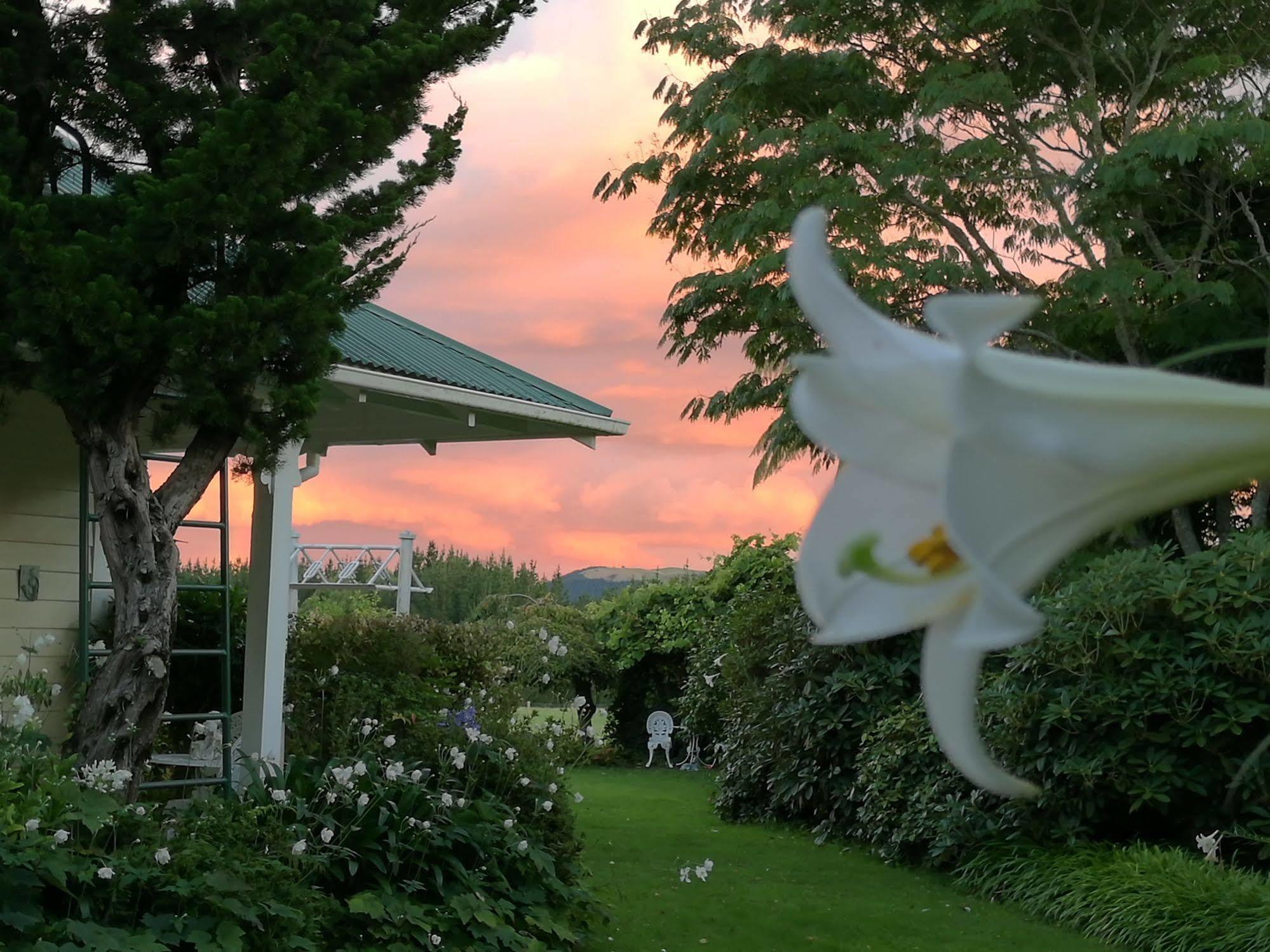 Country Villa Estate Ngongotaha Luaran gambar